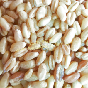 Trigo Mote Majado (Ideal Sopas)