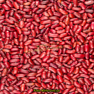 Porotos Rojos