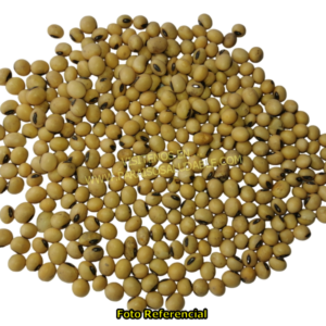 Porotos de Soja / Porotos de Soya