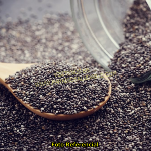 Chia Premium