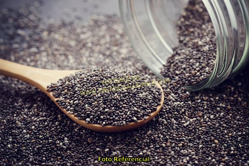 Chia Premium
