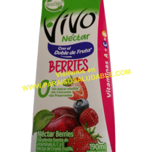 Jugo Vivo Sabor Berries 190 Ml